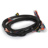Main Harness - Club Car Precedent Tempo 2014+ ERIC 104023201 Wiring Loom