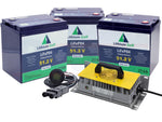 Lithium Golf Cart Battery full Conversion Kit - Yamaha G14 G16 G19 G22 G29 48V Electric