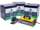 Lithium Golf Cart Battery full Conversion Kit - Yamaha G14 G16 G19 G22 G29 48V Electric