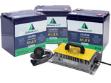 Lithium Golf Cart Battery full Conversion Kit - EZGO RXV 48V Electric
